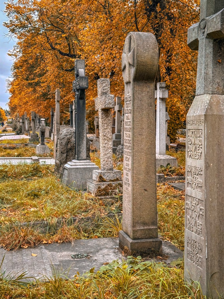 Brompton Cemetery tombstones in a row